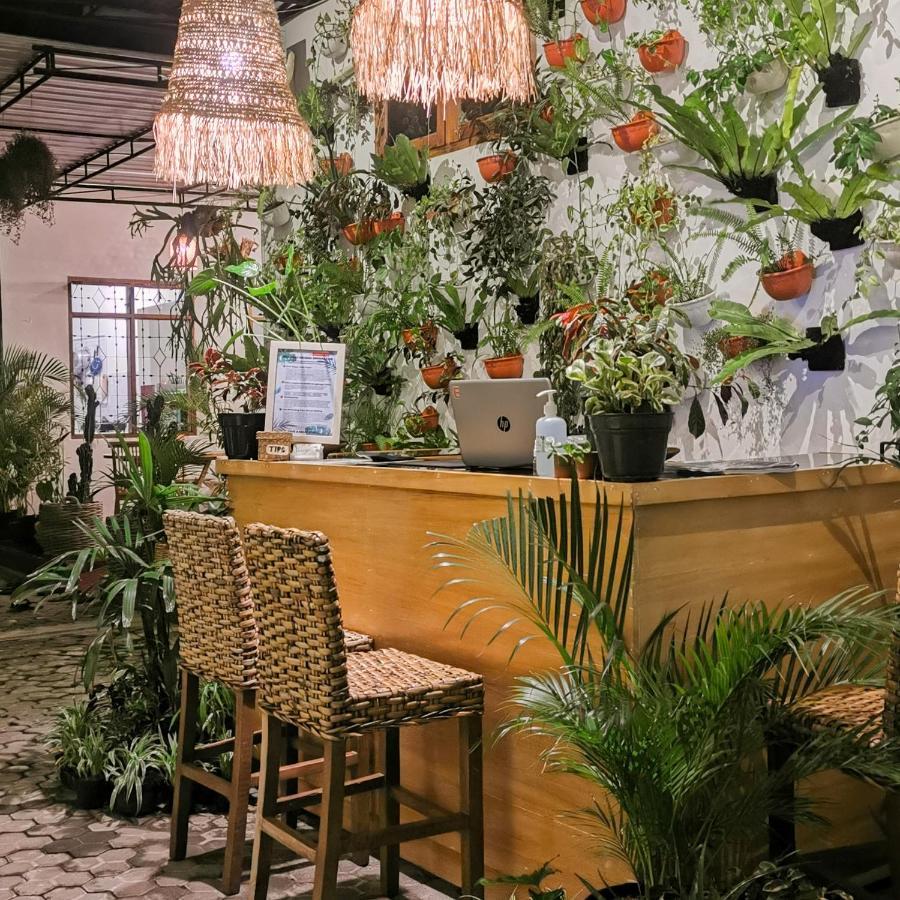 Snooze Ijen Hostel บันยูวังงี ภายนอก รูปภาพ